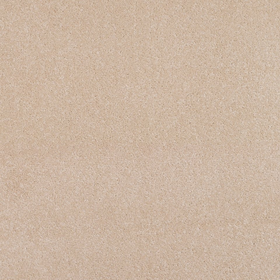 Cream 24 100% Polypropylene carpets in colour Cream 24
