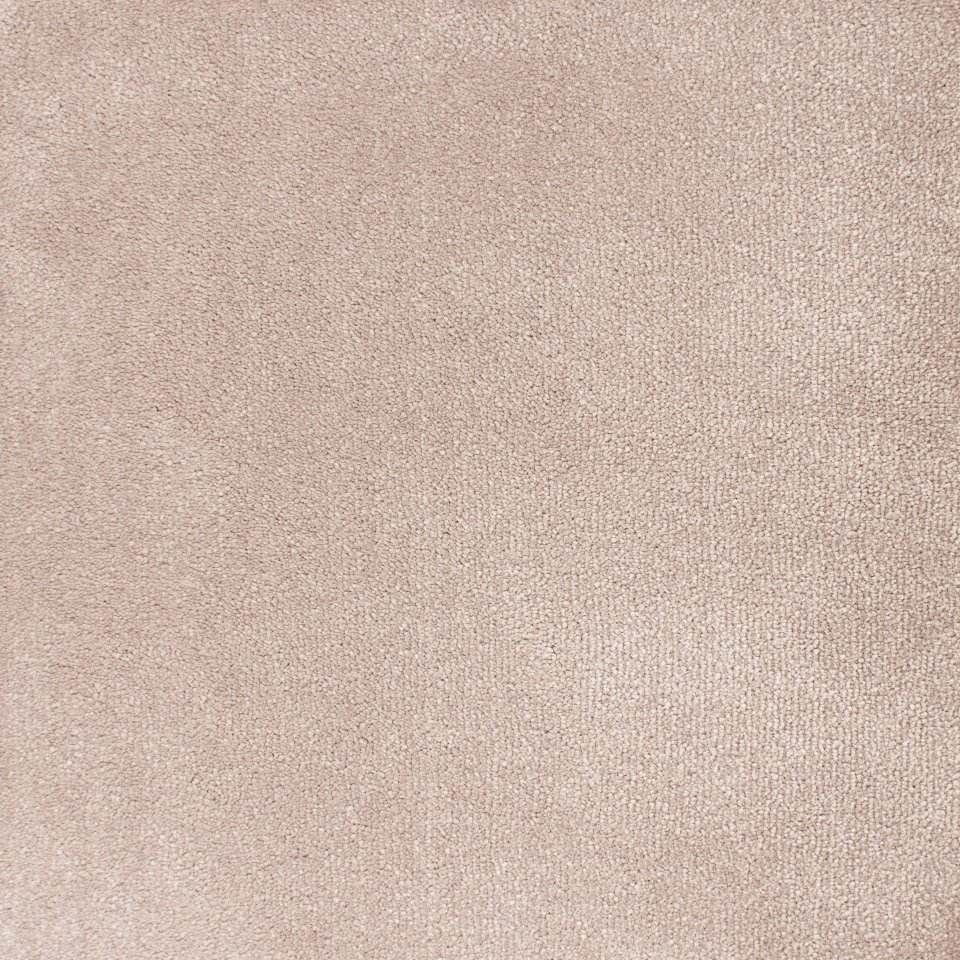 Porcini Brown 112 100% nylon soft touch think carpets, in colour Porcini Brown 112
