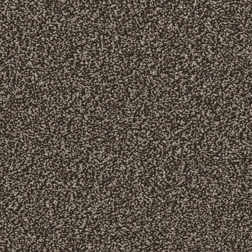 Smoked Wood 100% Polypropylene carpets in colour Smoked Wood