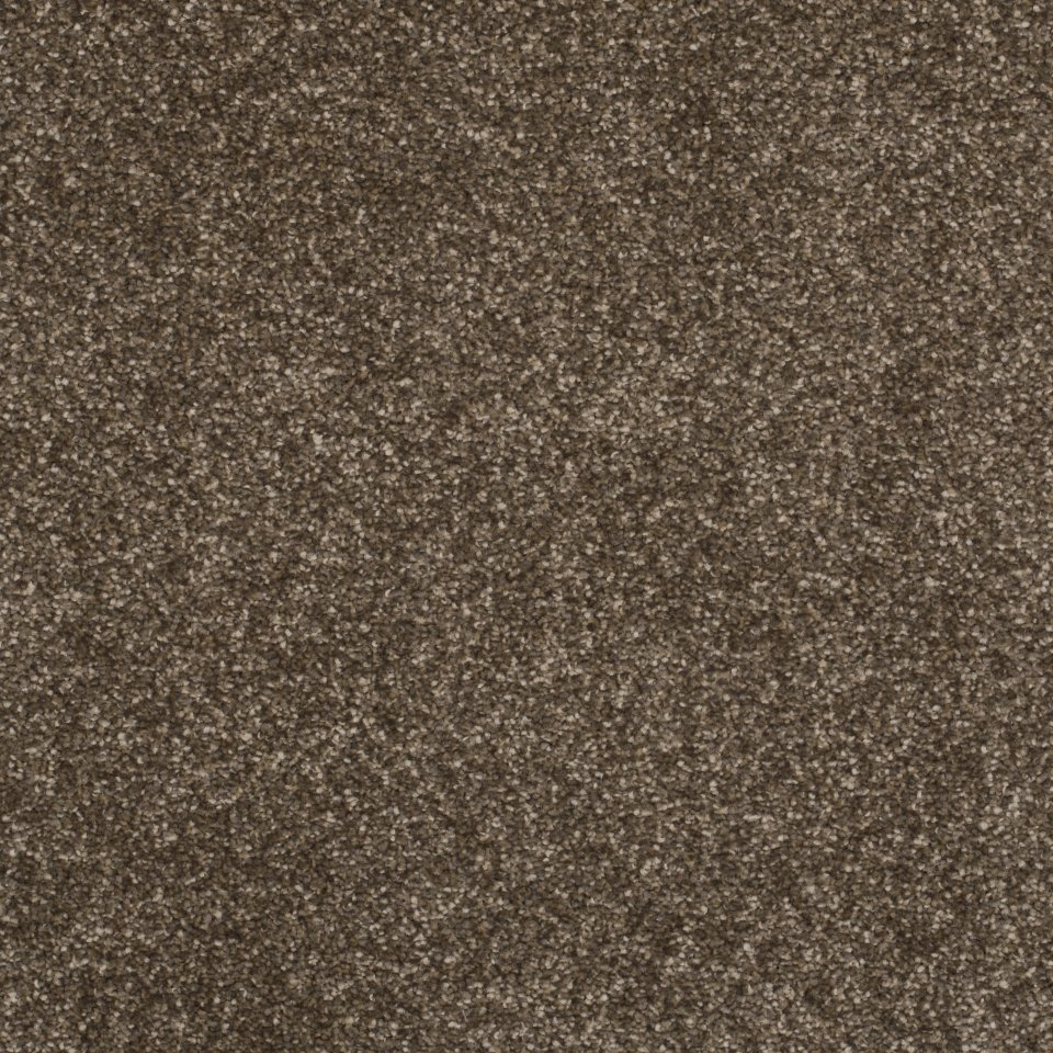 Walnut 33 100% Polypropylene carpets in colour Walnut 33