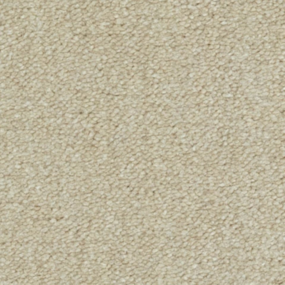 Fashionable 100% nylon, silk touch carpets in colour Fashionable