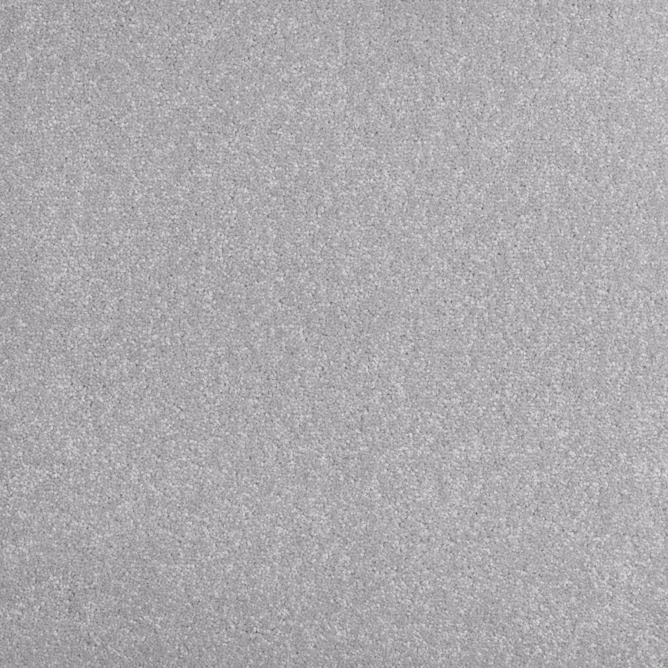 Dolphin 14 100% Polypropylene carpets in colour Dolphin 14