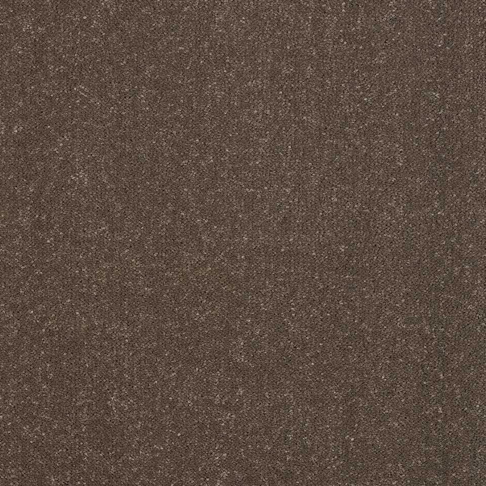 Brown C16 100% Polypropylene carpets in colour Brown C16