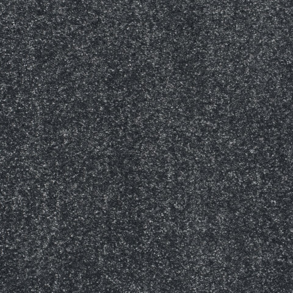 100% Polypropylene carpets in colour Midnight 29