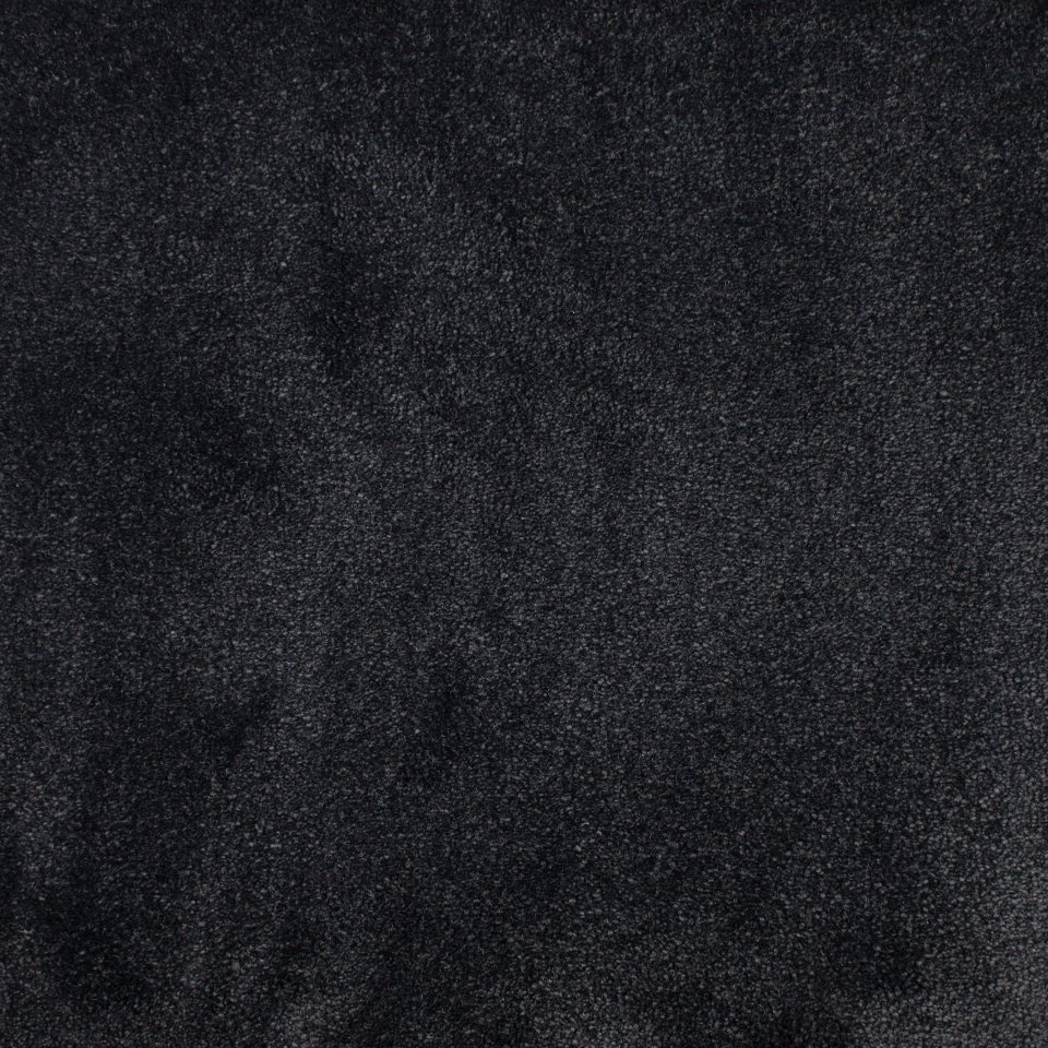 100% nylon soft touch think carpets, in colour Raven Feather 325