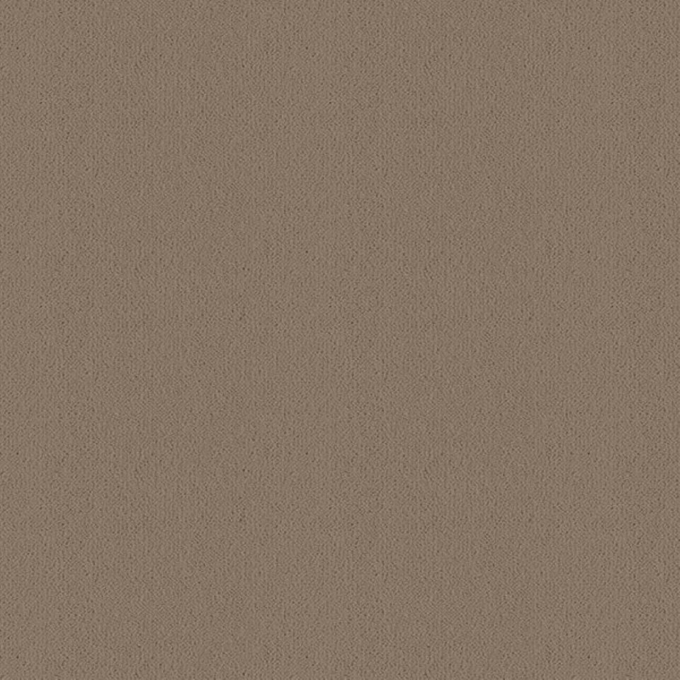 Wool mix velvet carpets in colour Taupe 09