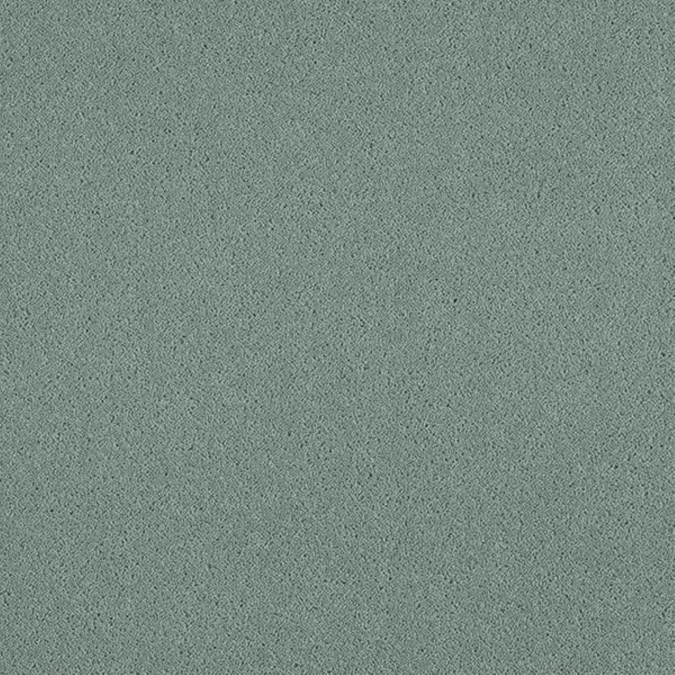 80% wool, 20% nylon twist pile carpets, in colour Denim 60