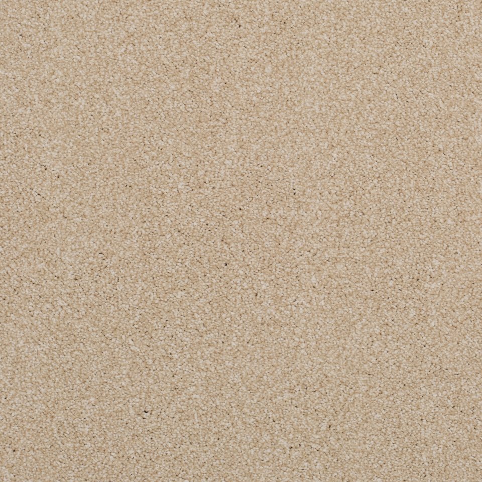 100% Polypropylene carpets in colour Cream 12