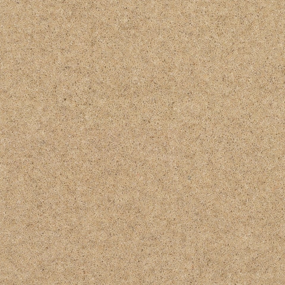 Wool mix twist carpets in colour Pine Nut 14