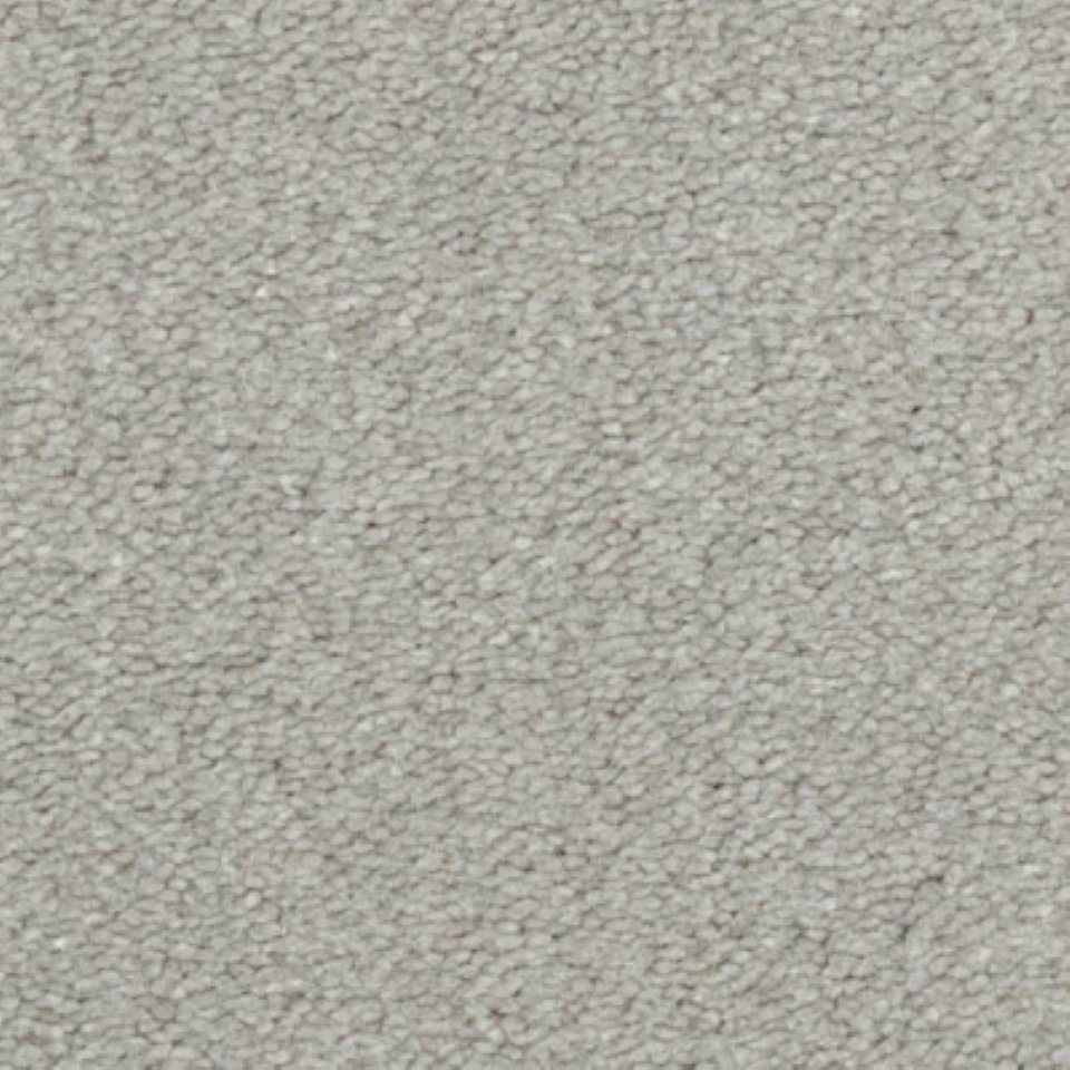 100% nylon, silk touch carpets in colour Sophisticated
