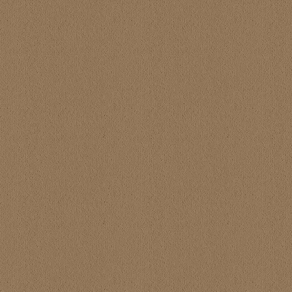 Wool mix velvet carpets in colour Brass 07