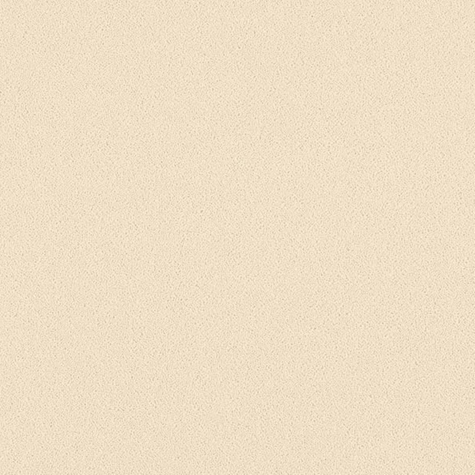 80% wool, 20% nylon twist pile carpets, in colour Cream Brulé 21