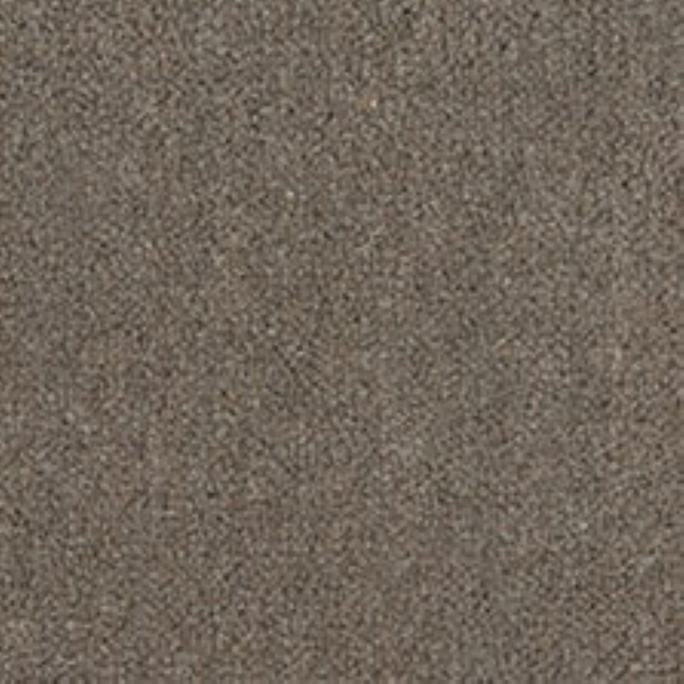 Wool mix velvet carpets in colour Beaver