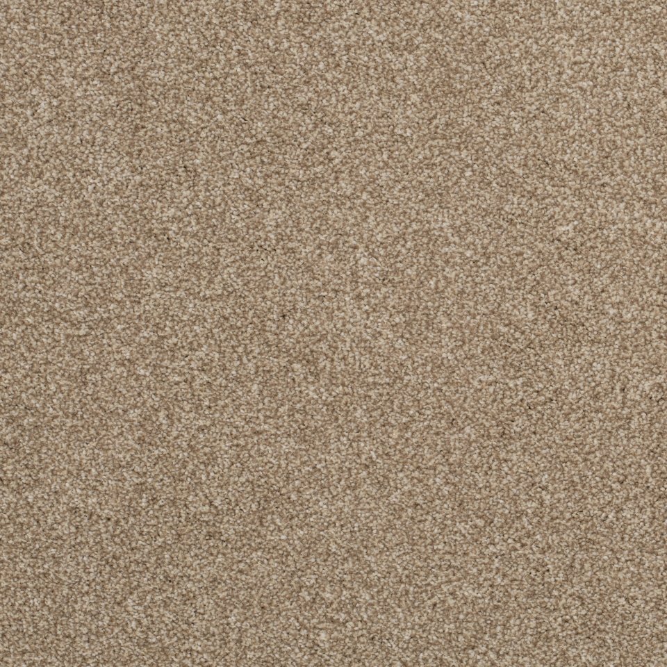 100% Polypropylene carpets in colour Brown 09