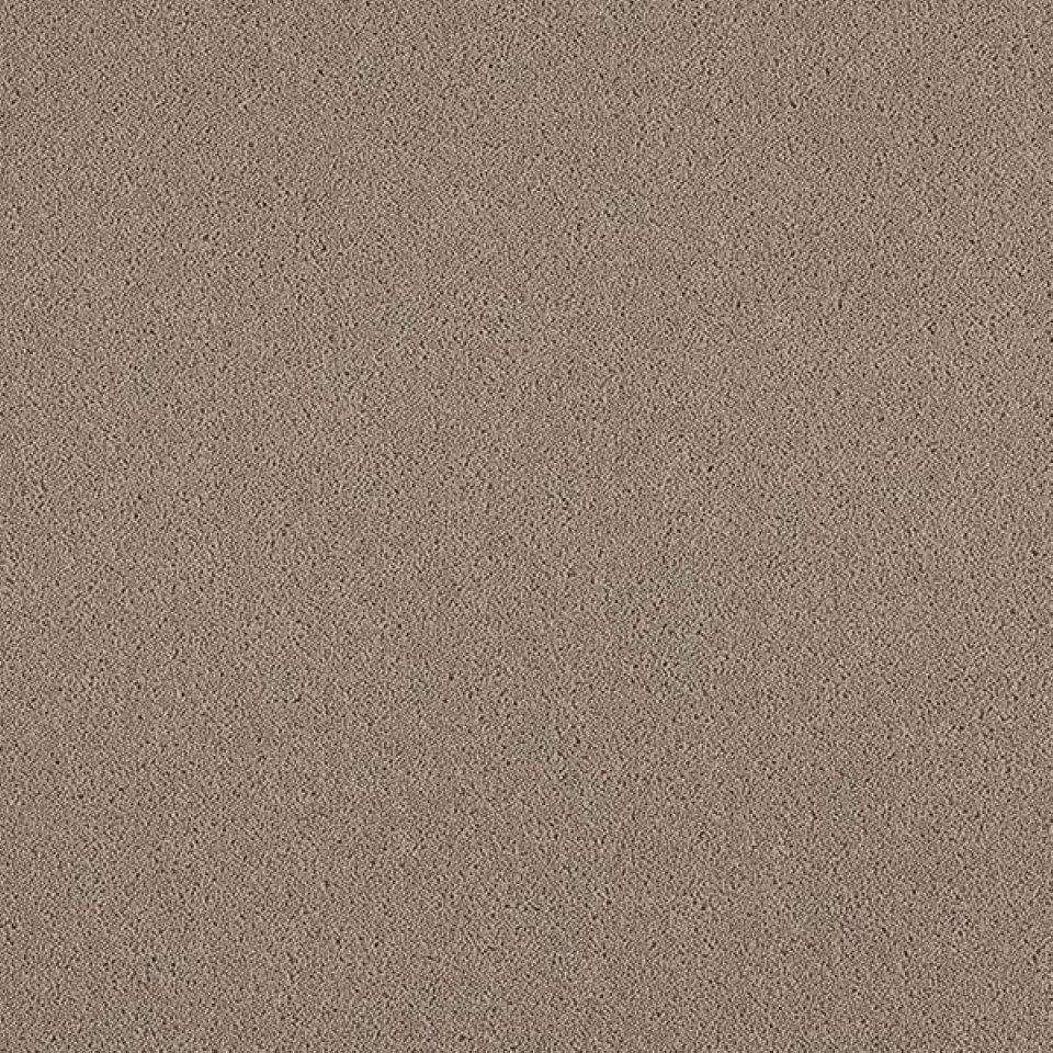 80% wool, 20% nylon twist pile carpets, in colour Pine 54