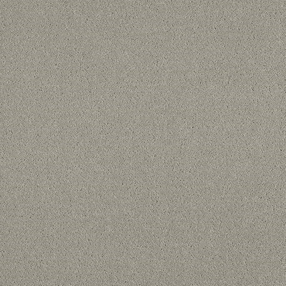 80% wool, 20% nylon twist pile carpets, in colour Cement 63
