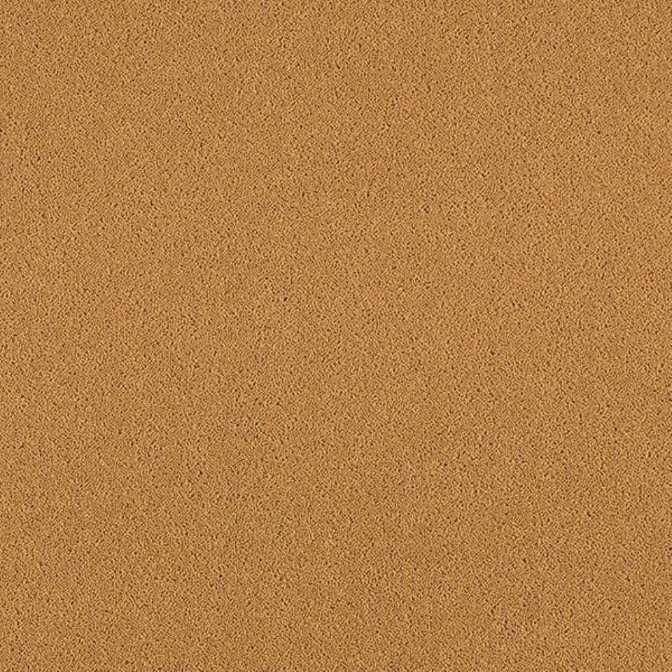 80% wool, 20% nylon twist pile carpets, in colour Cosmos 11