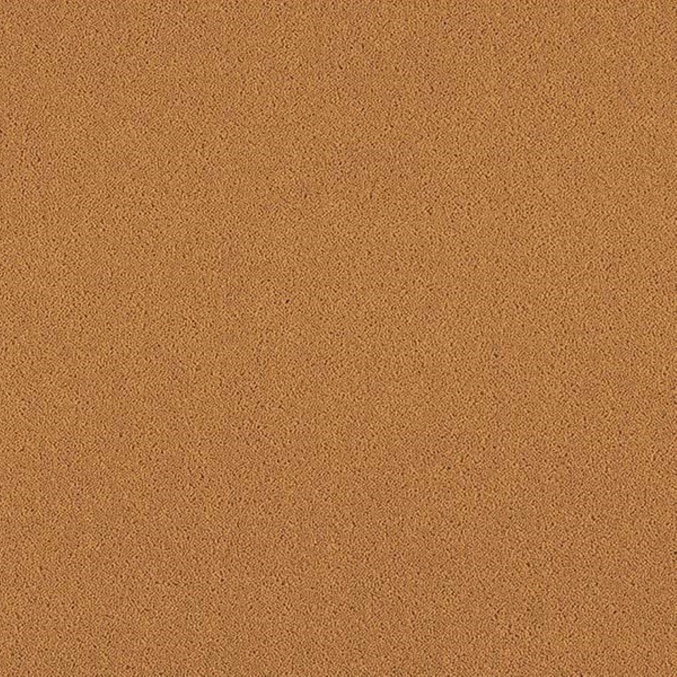 80% wool, 20% nylon twist pile carpets, in colour Alyssum 26