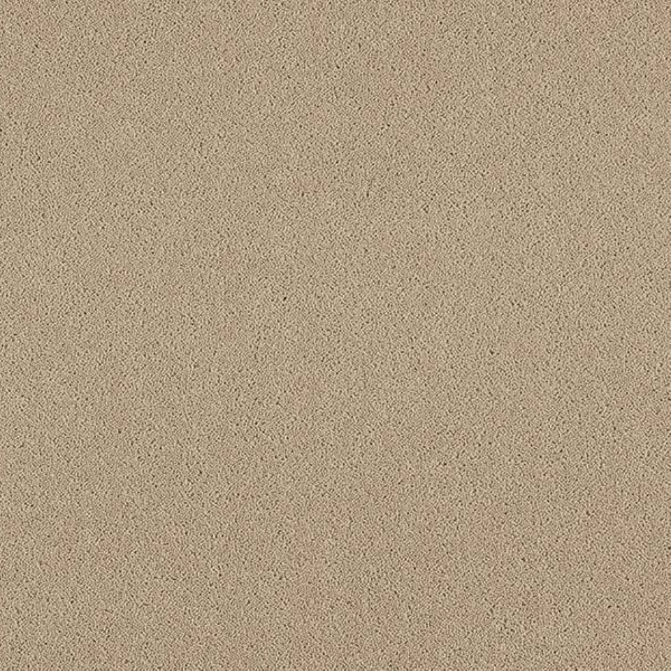 80% wool, 20% nylon twist pile carpets, in colour Gladiolus 30