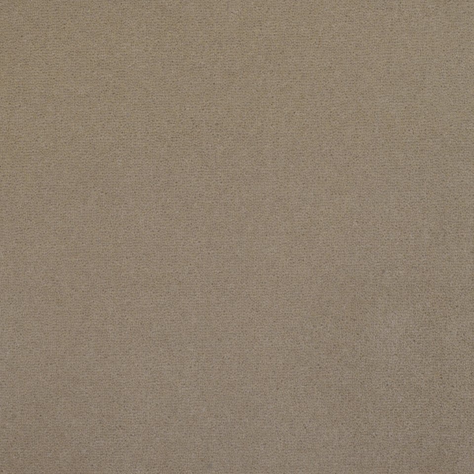 Wool velvet carpets in colour Stone 16