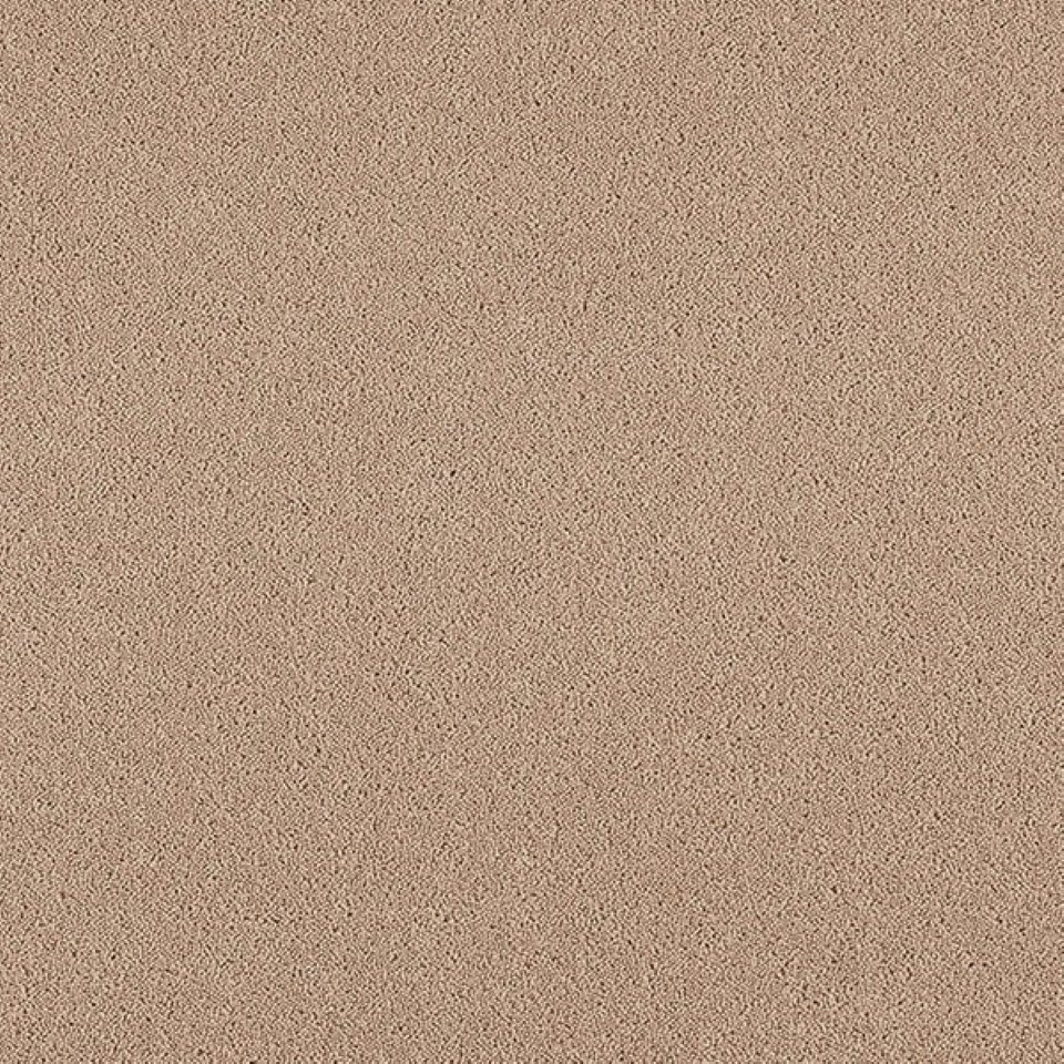 80% wool, 20% nylon twist pile carpets, in colour Tan 69