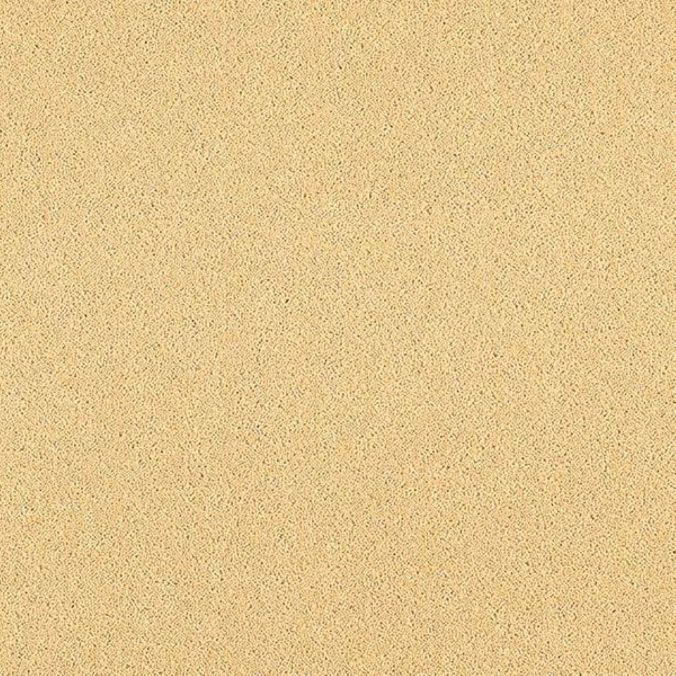 80% wool, 20% nylon twist pile carpets, in colour Pampas 13