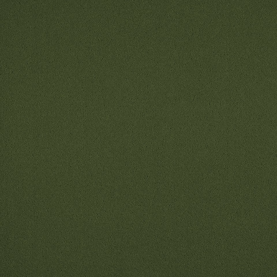 80% wool, 20% nylon twist pile carpets, Colour Forest Green 24