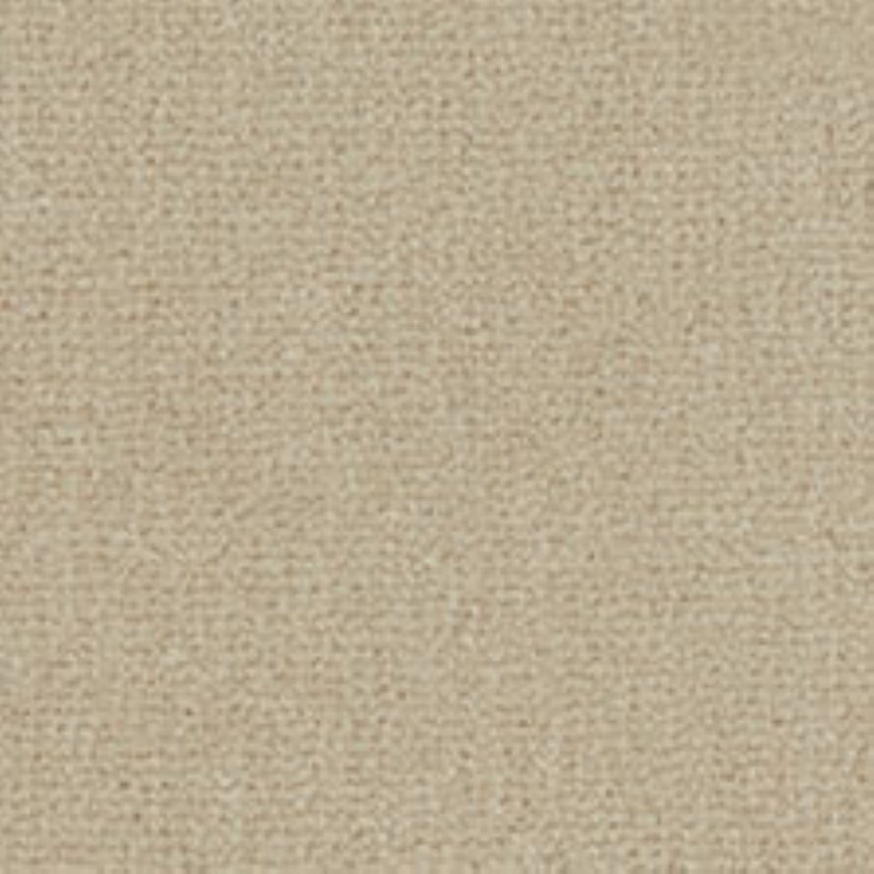 Wool mix velvet carpets in colour Dust