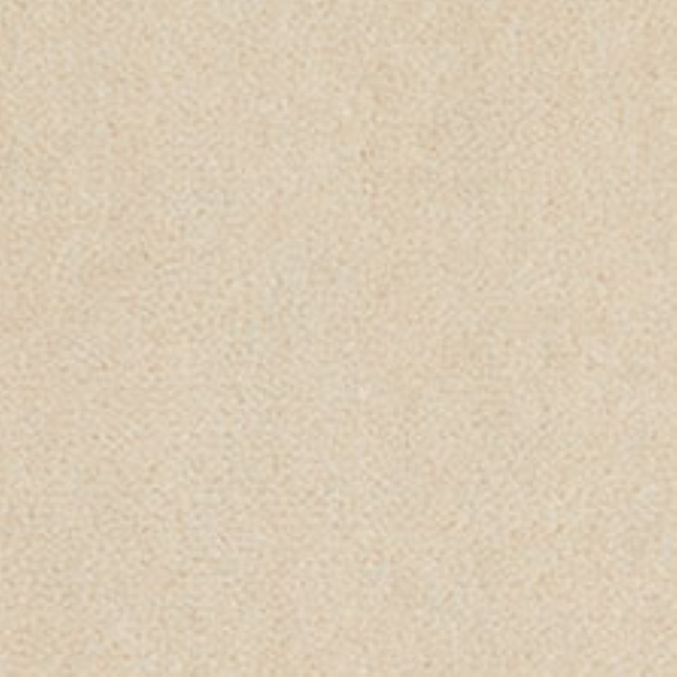 Wool mix velvet carpets in colour Soft White