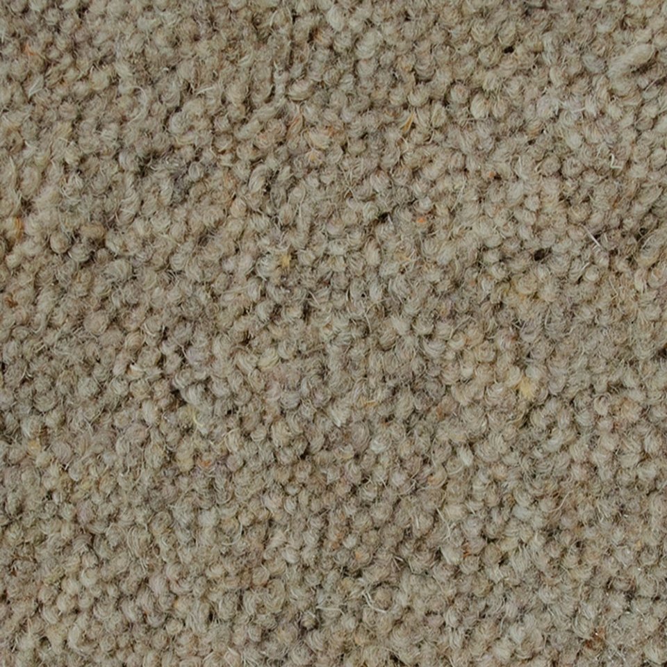Wool twist pile carpets in colour Squirrel 05