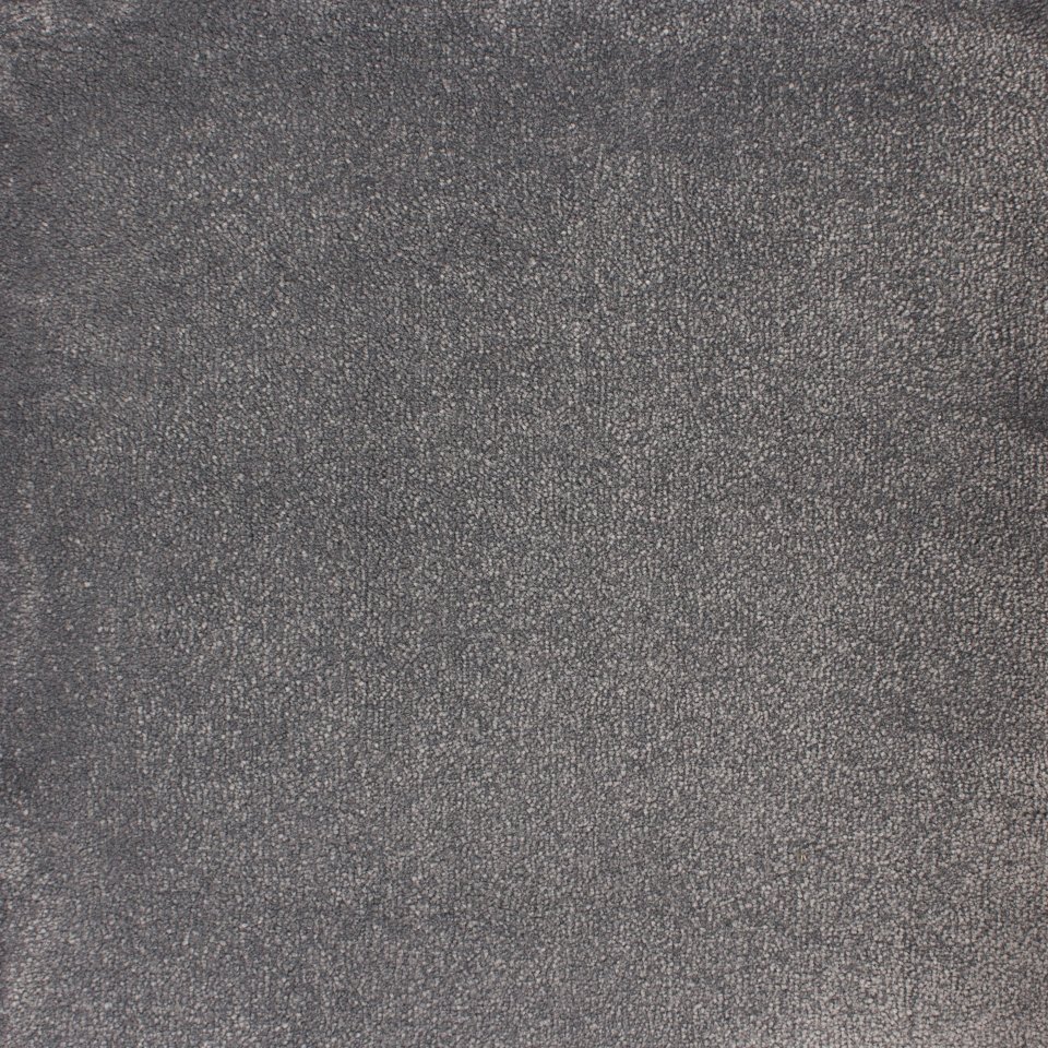 100% nylon soft touch think carpets, in colour Pigeon Grey 302