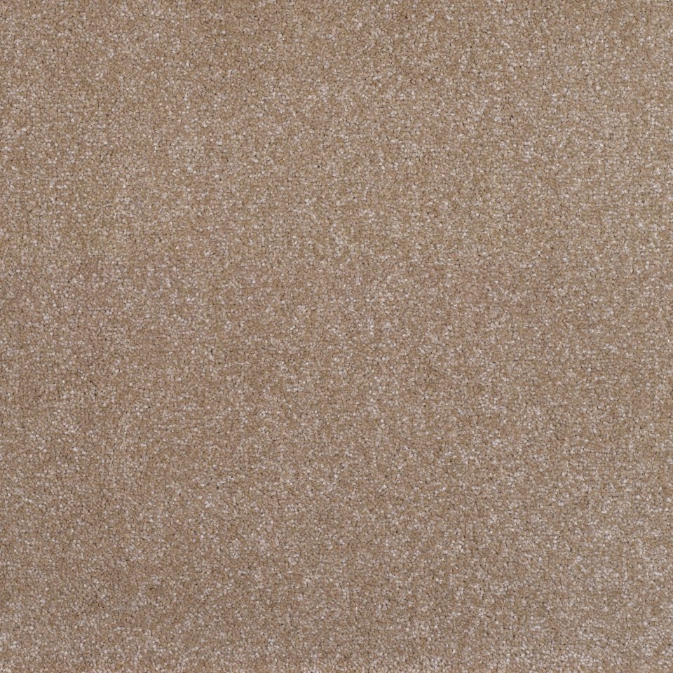 100% Polypropylene carpets in colour Sand 21