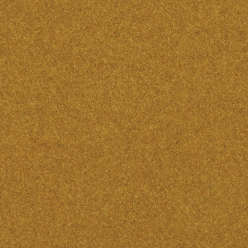 Wool mix twist carpets in colour Gold 19