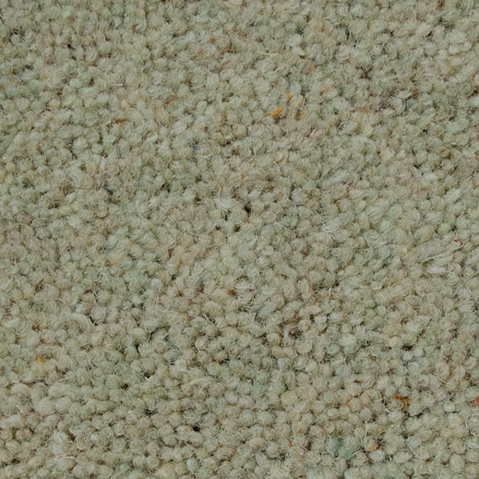 Wool twist pile carpets in colour Iguana 09