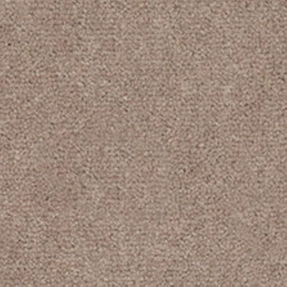 Wool mix velvet carpets in colour Mink