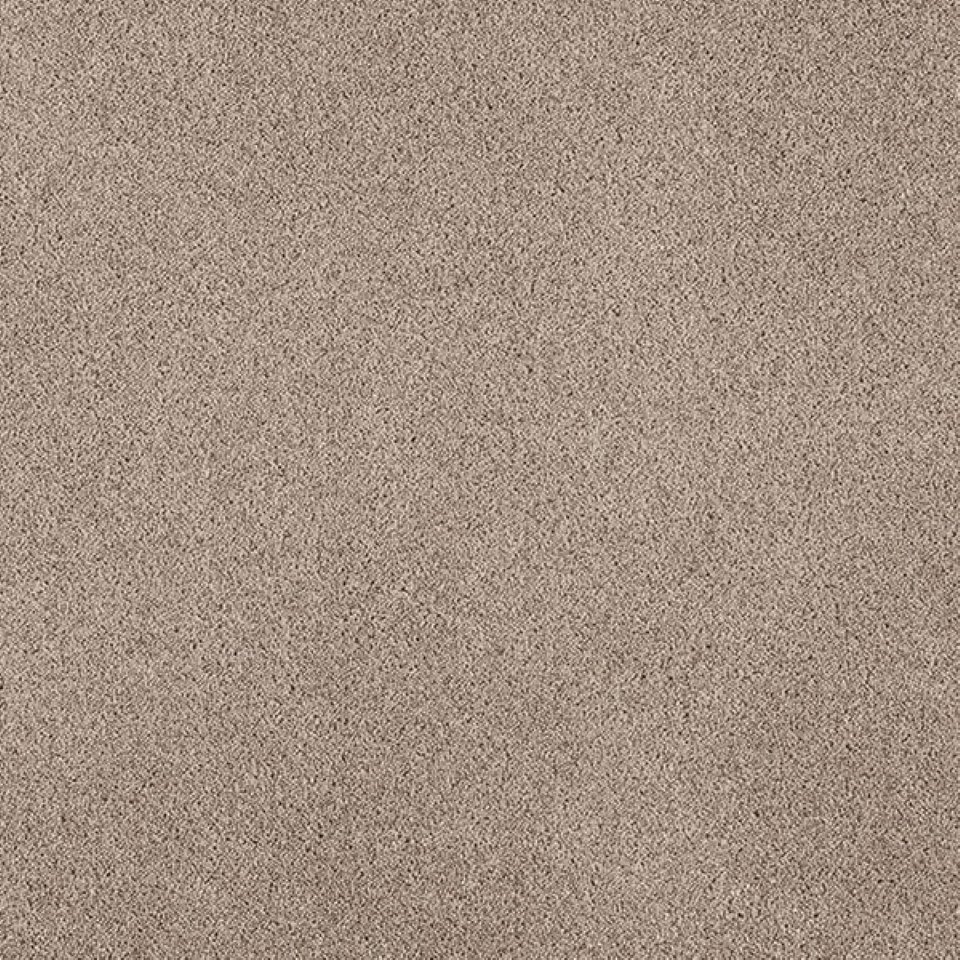 80% wool, 20% nylon twist pile carpets, in colour Bear 73