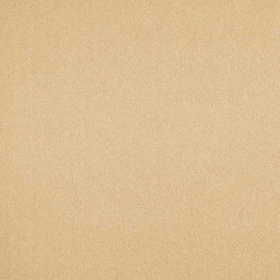 80% wool, 20% nylon twist pile carpets, Colour Warm Beige 11