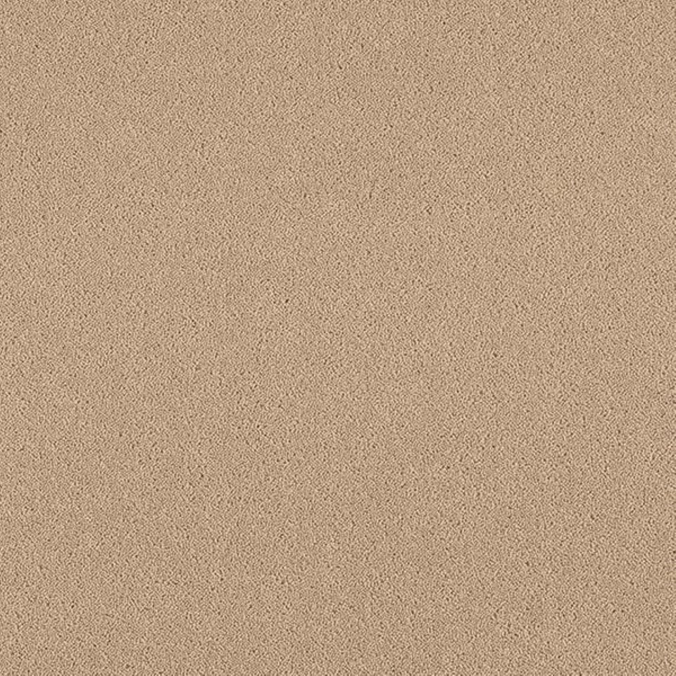 80% wool, 20% nylon twist pile carpets, in colour Wheat 47