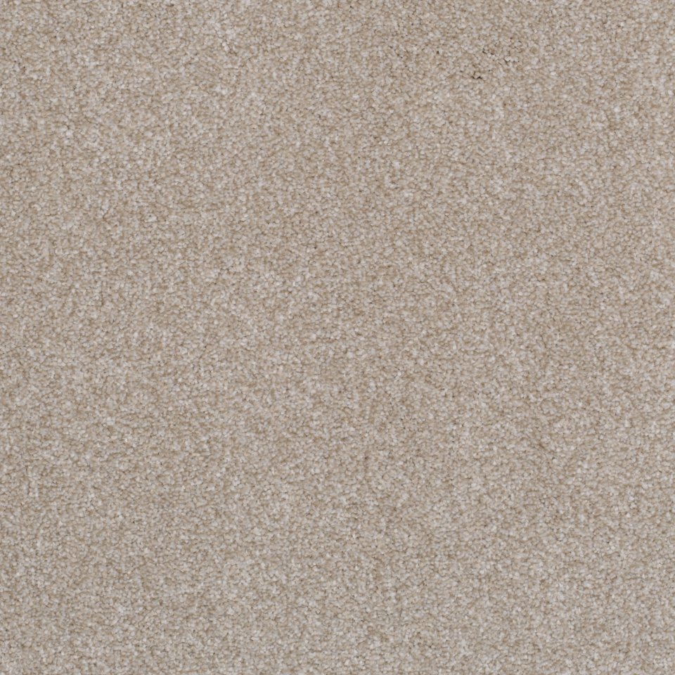 100% Polypropylene carpets in colour Beige 38
