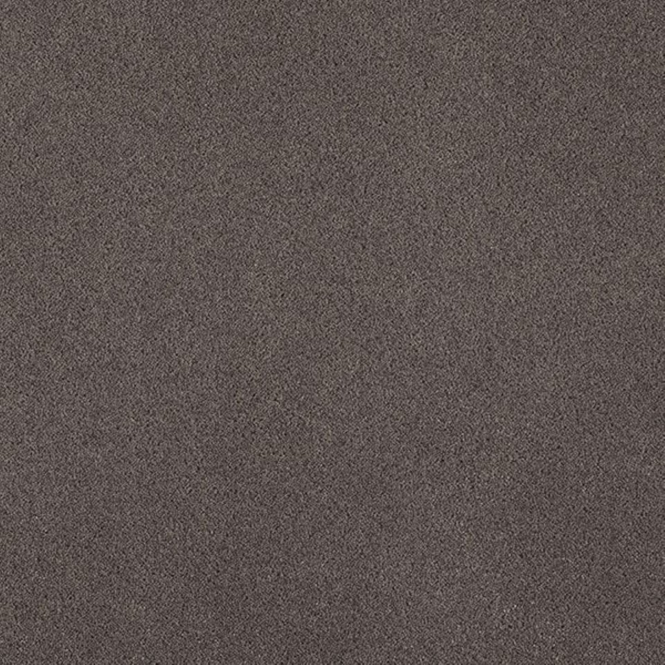 80% wool, 20% nylon twist pile carpets, in colour Slate 75