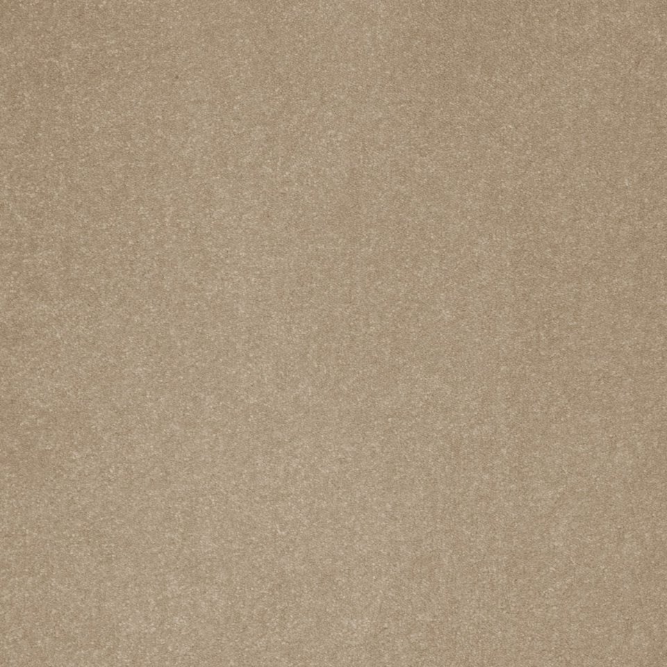 100% regenerated nylon, silk touch carpets in colour Soft Brown 35