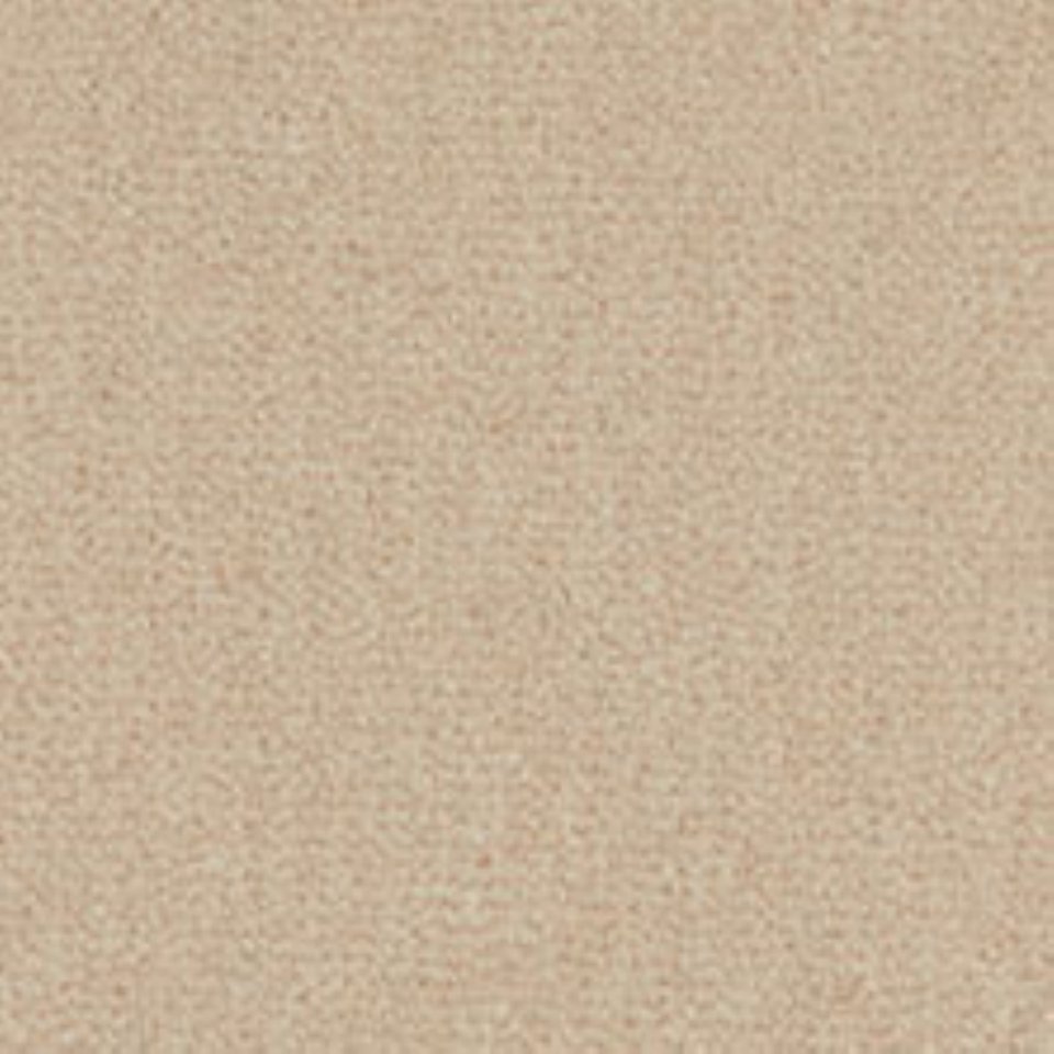 Wool mix velvet carpets in colour Pearl