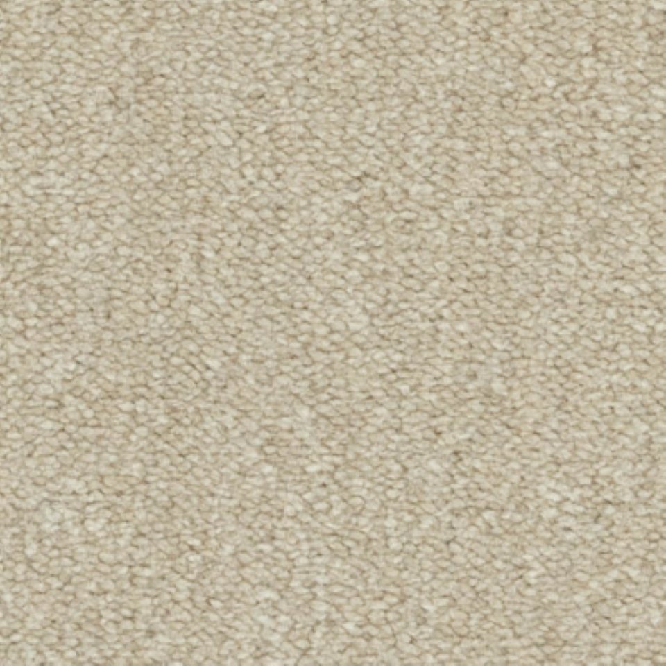 100% nylon, silk touch carpets in colour Caress