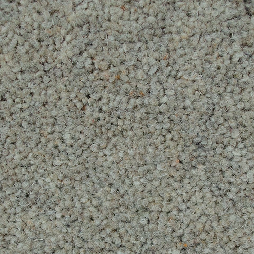 Wool twist pile carpets in colour Wolf 10