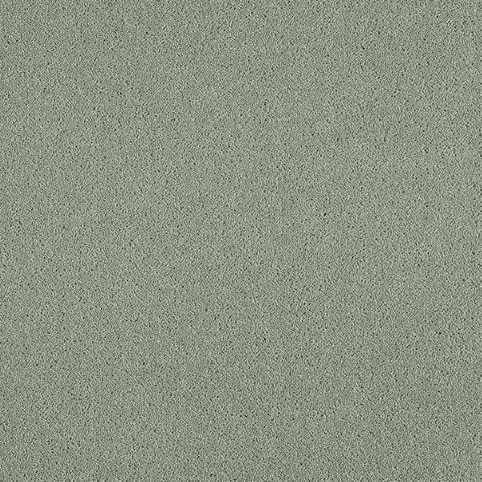 80% wool, 20% nylon twist pile carpets, in colour Lavender 40