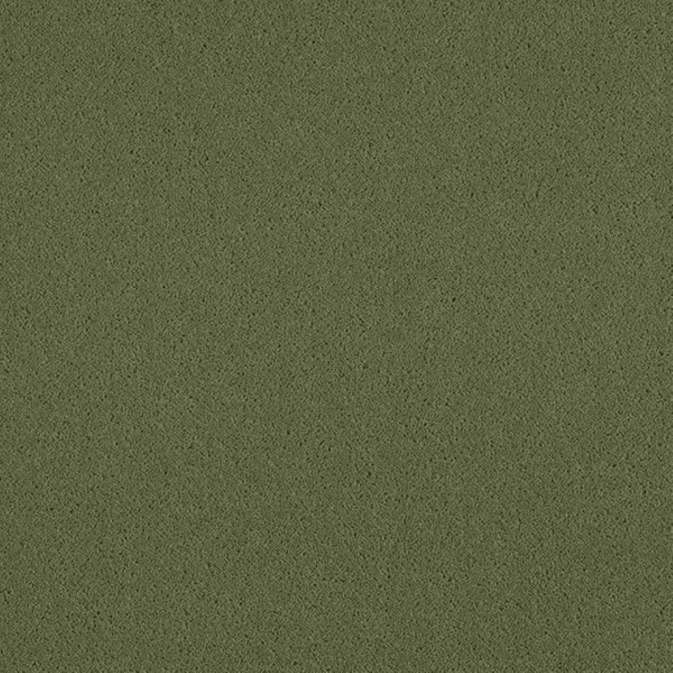 80% wool, 20% nylon twist pile carpets, in colour Limelight 49