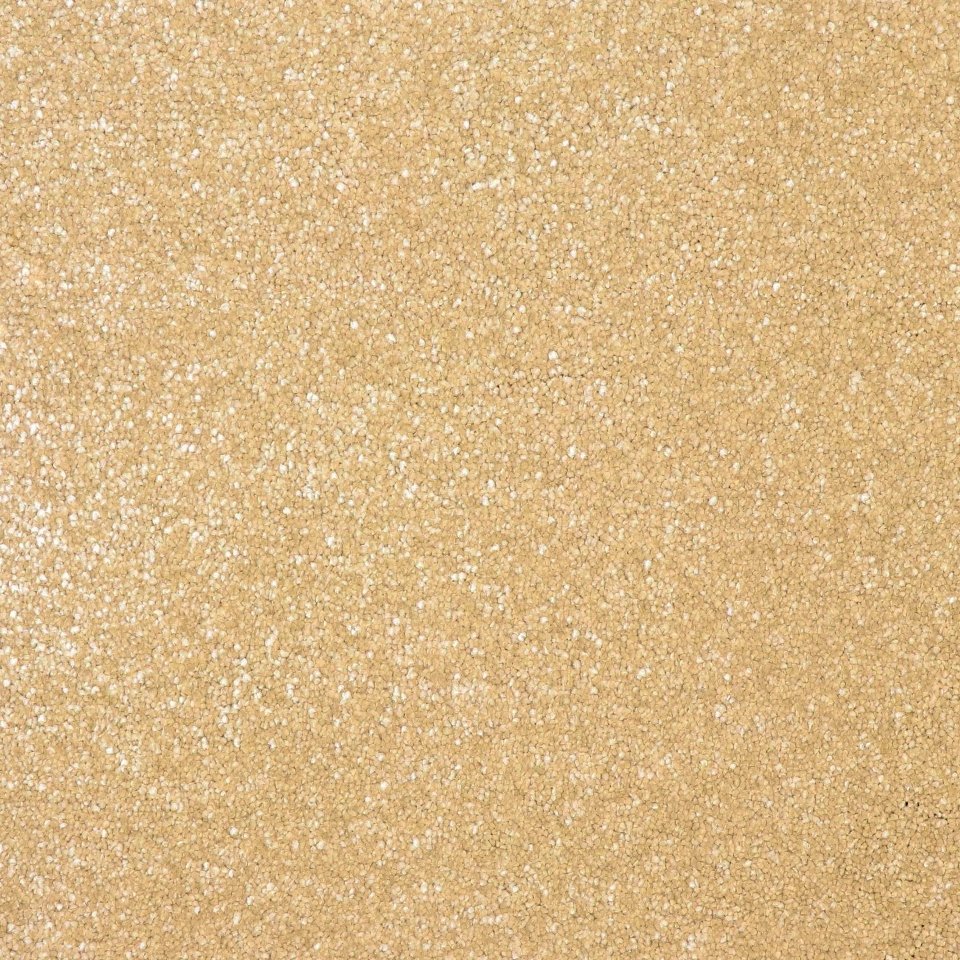 100% Polypropylene carpets in colour Trout 39