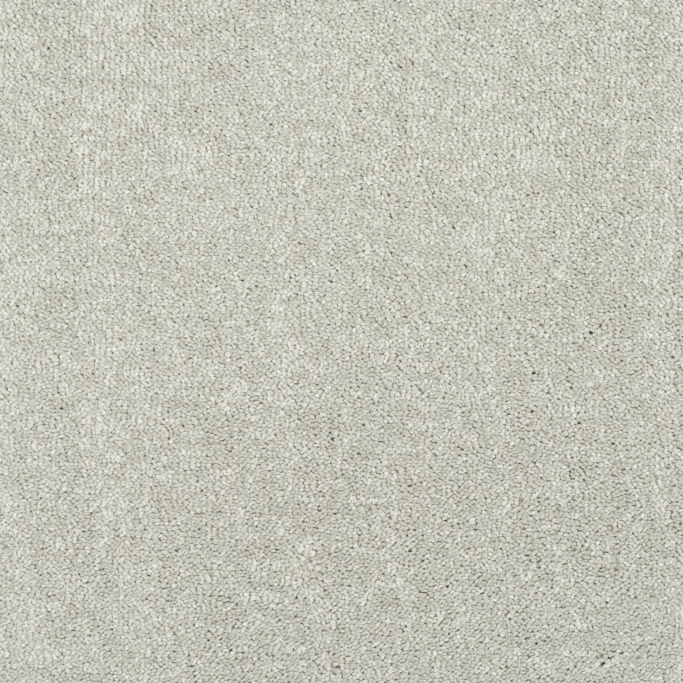 100% Polypropylene carpets in colour Grey 05