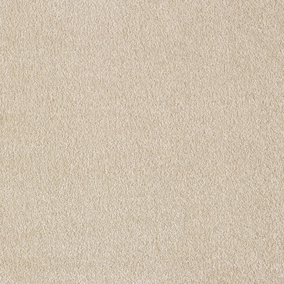 100% Polyamide soft touch carpets, in colour Champagne 34