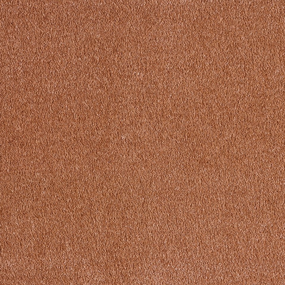100% Polyamide soft touch carpets, in colour Terracotta 84